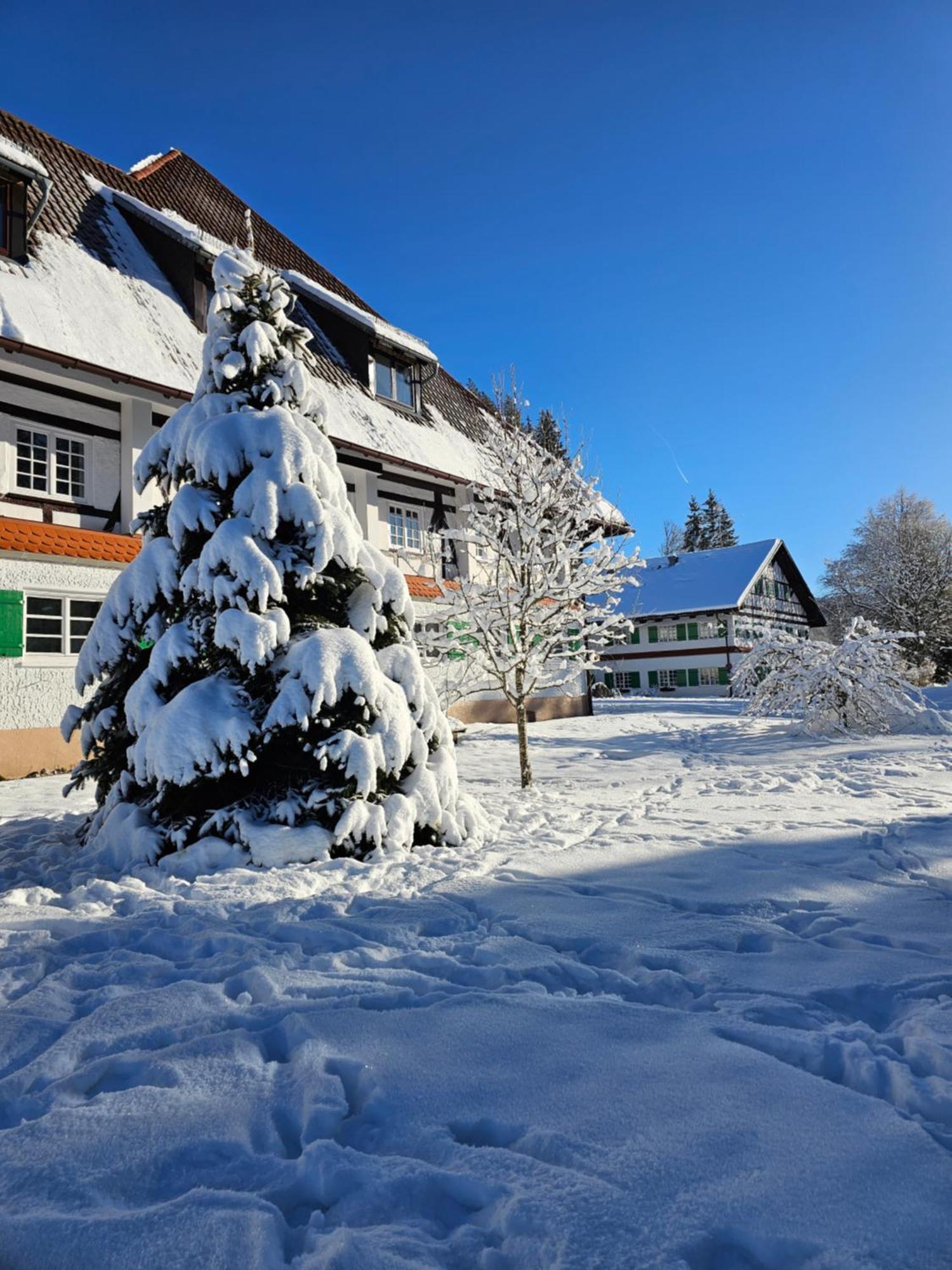 Allgaeu Residenz Natur & Spa Gmbh 魏根斯巴赫 外观 照片